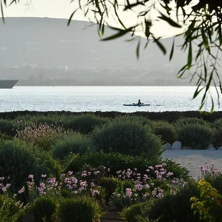 Tatil Evi Sunray Pounta Paros Beachfront Near Kitesurf Pounda